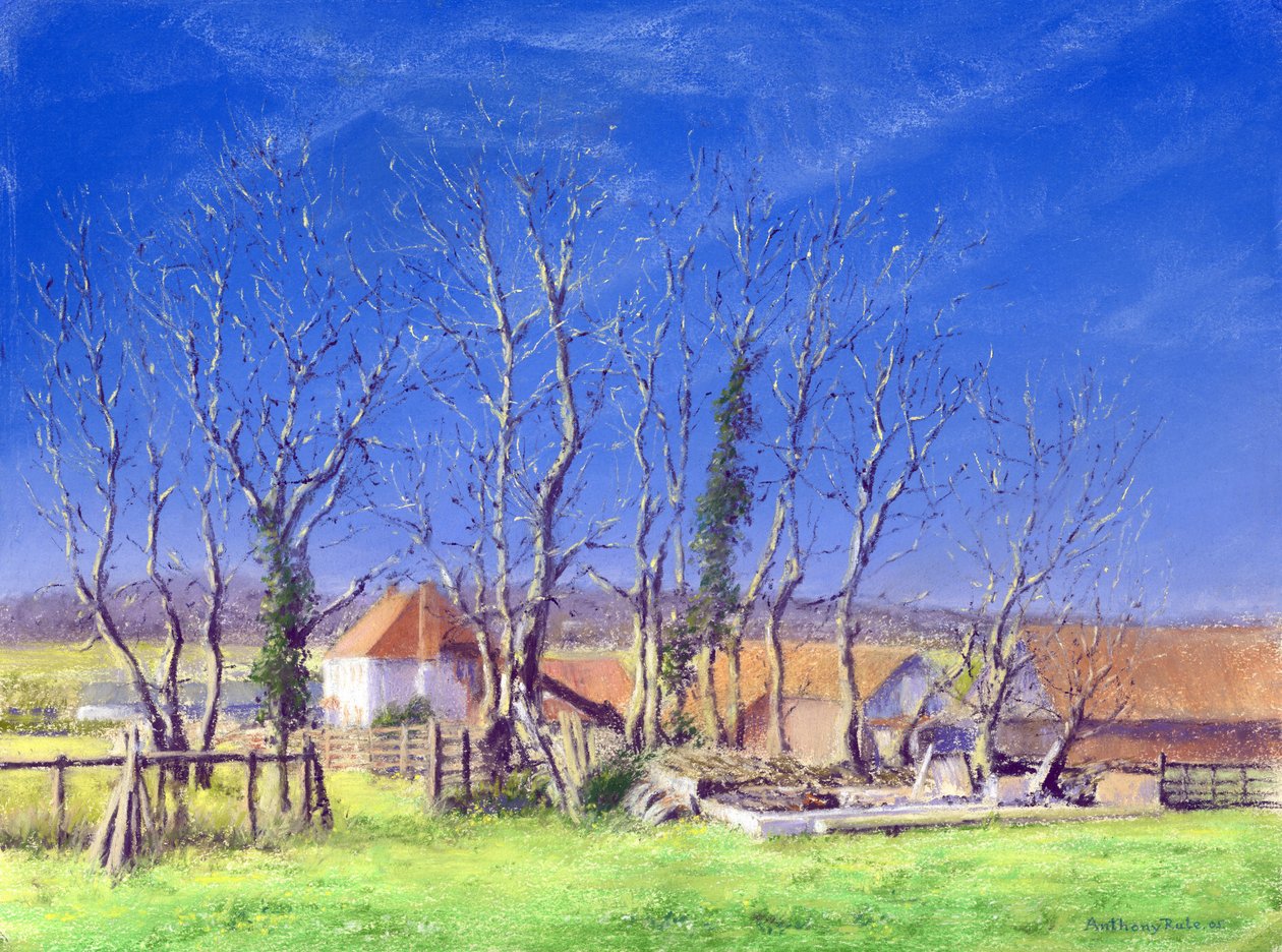 Brockwell Farm, 2005 av Anthony Rule