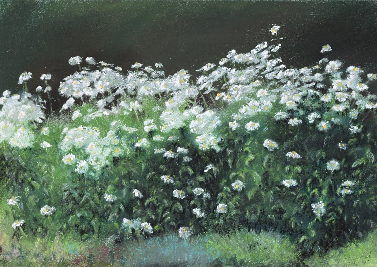 Shasta Daisies, 1992 av Anthony Rule