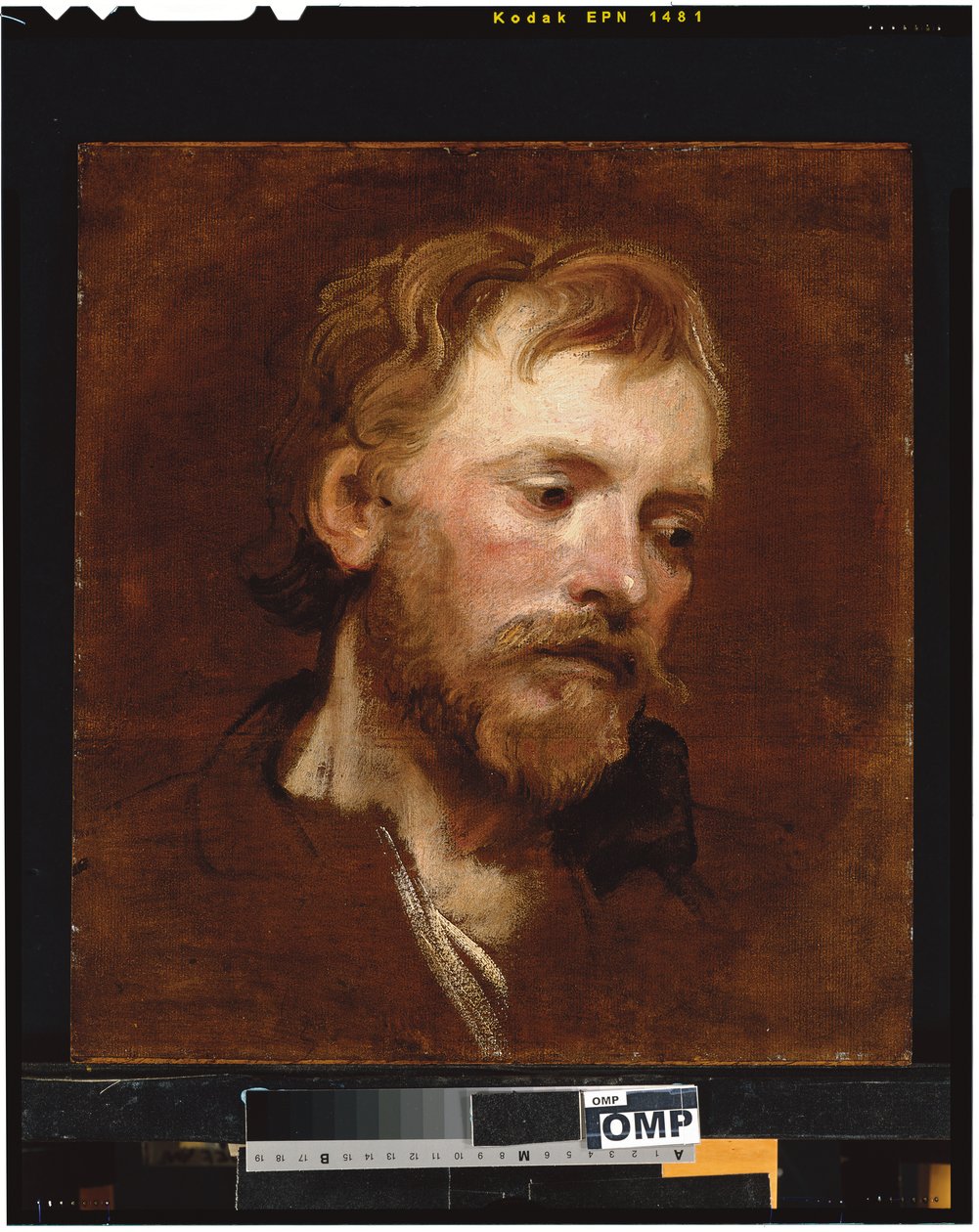 En skjeggete mann, et studie av Anthony van Dyck