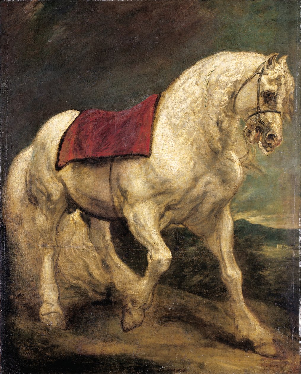 En grå hingst med tøyle, med salduk og delvis flettet manke: en modello av Anthony van Dyck