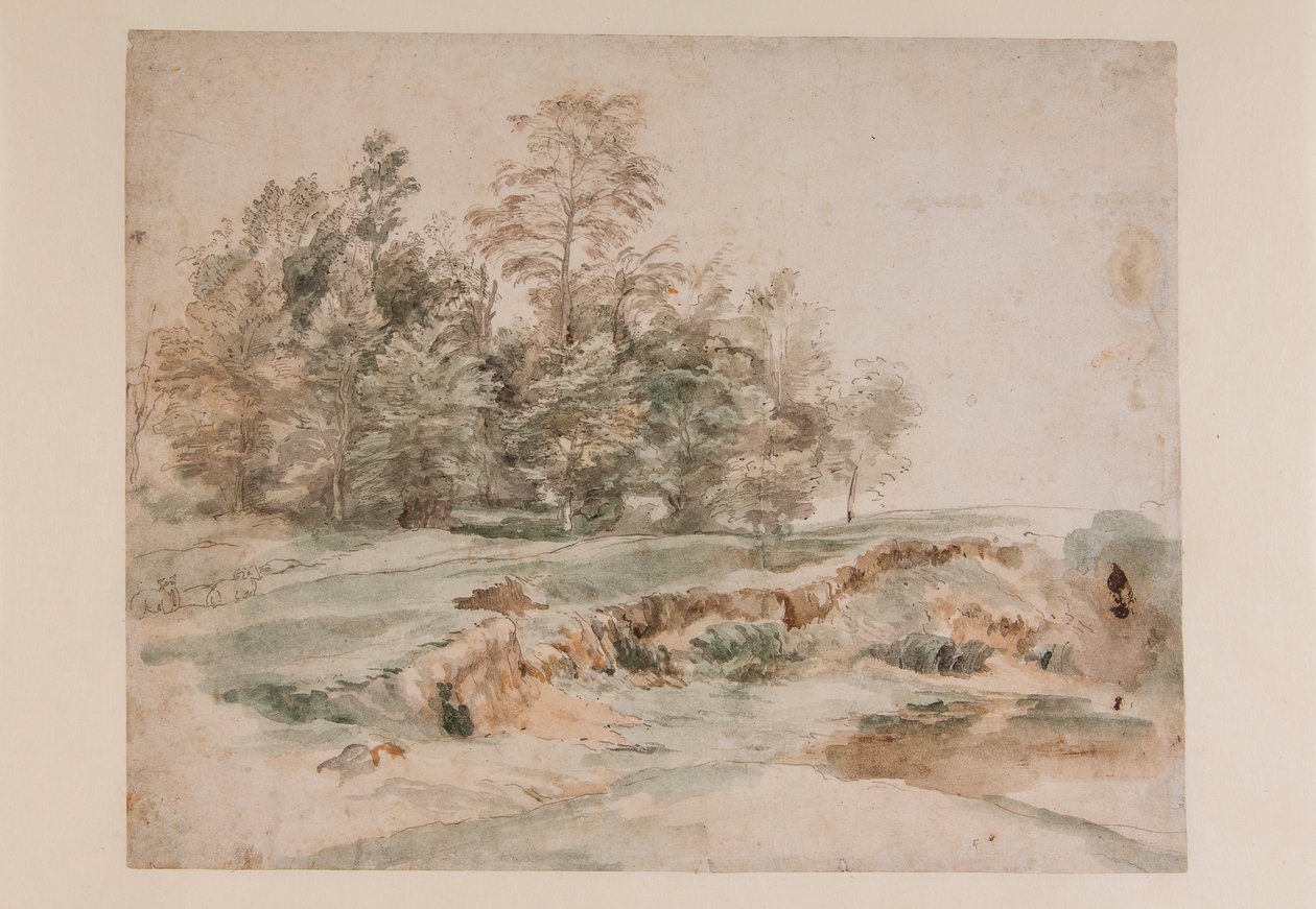 En klump med trær ved en skogkledd vei (blyant og akvarell på papir) av Anthony van Dyck
