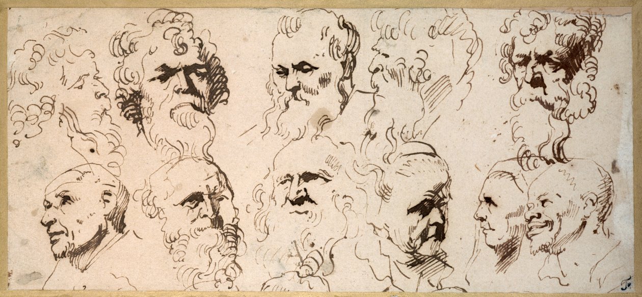 Elleve hodestudier (penn og brunt blekk på papir) av Anthony van Dyck
