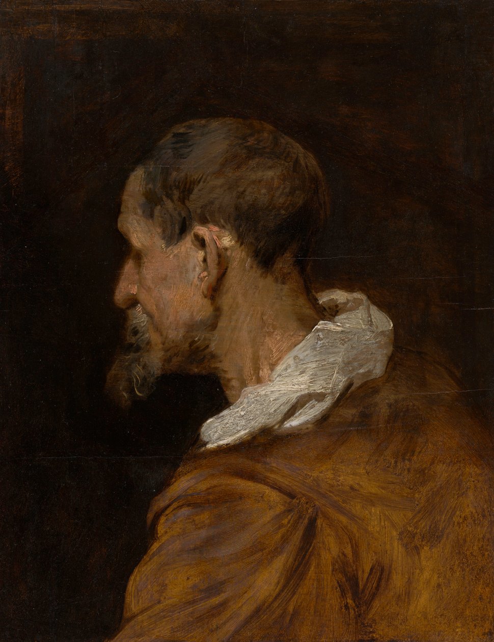 Hodestudie av Anthony van Dyck