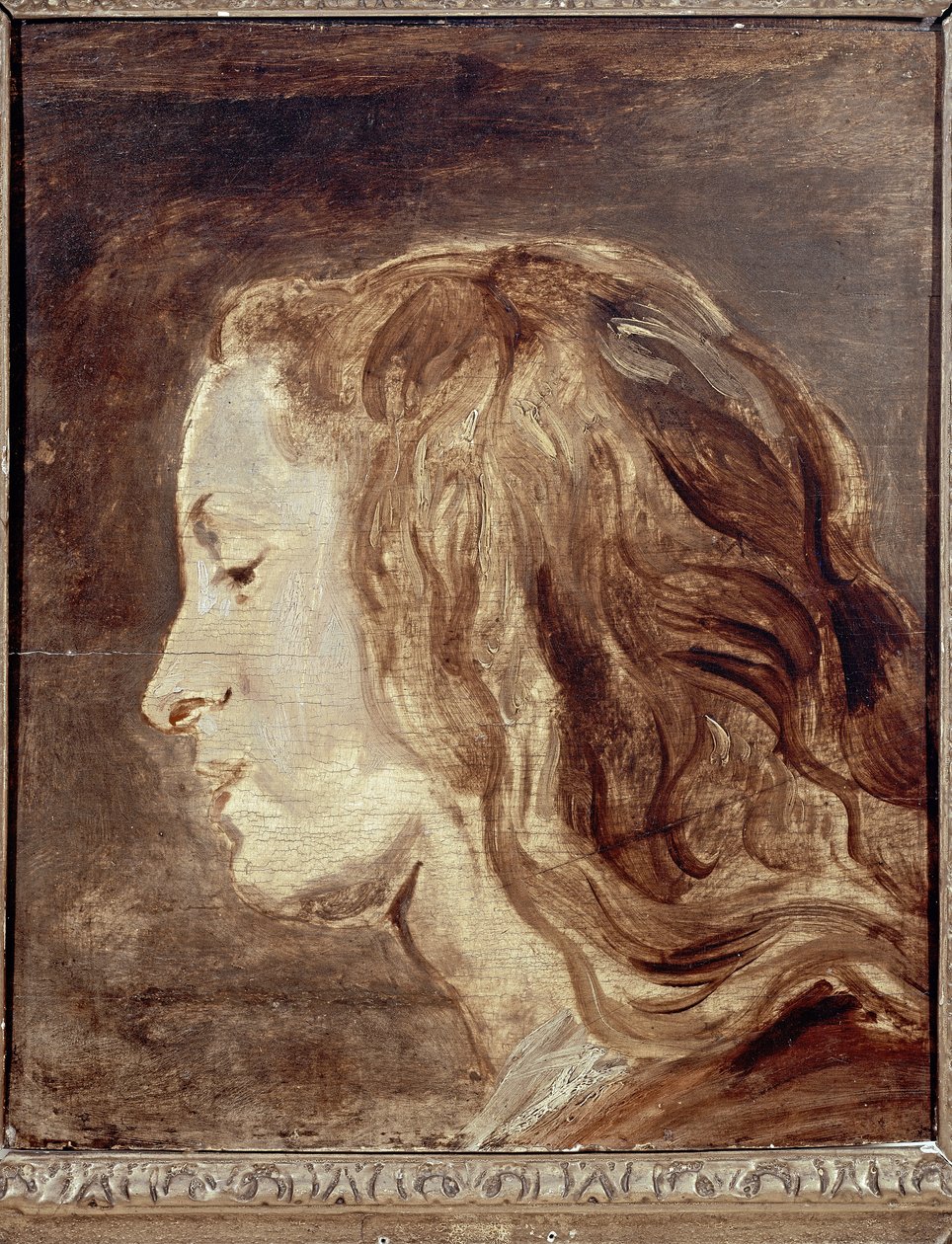 Head Study, første halvdel av 1600-tallet (olje om bord) av Anthony van Dyck