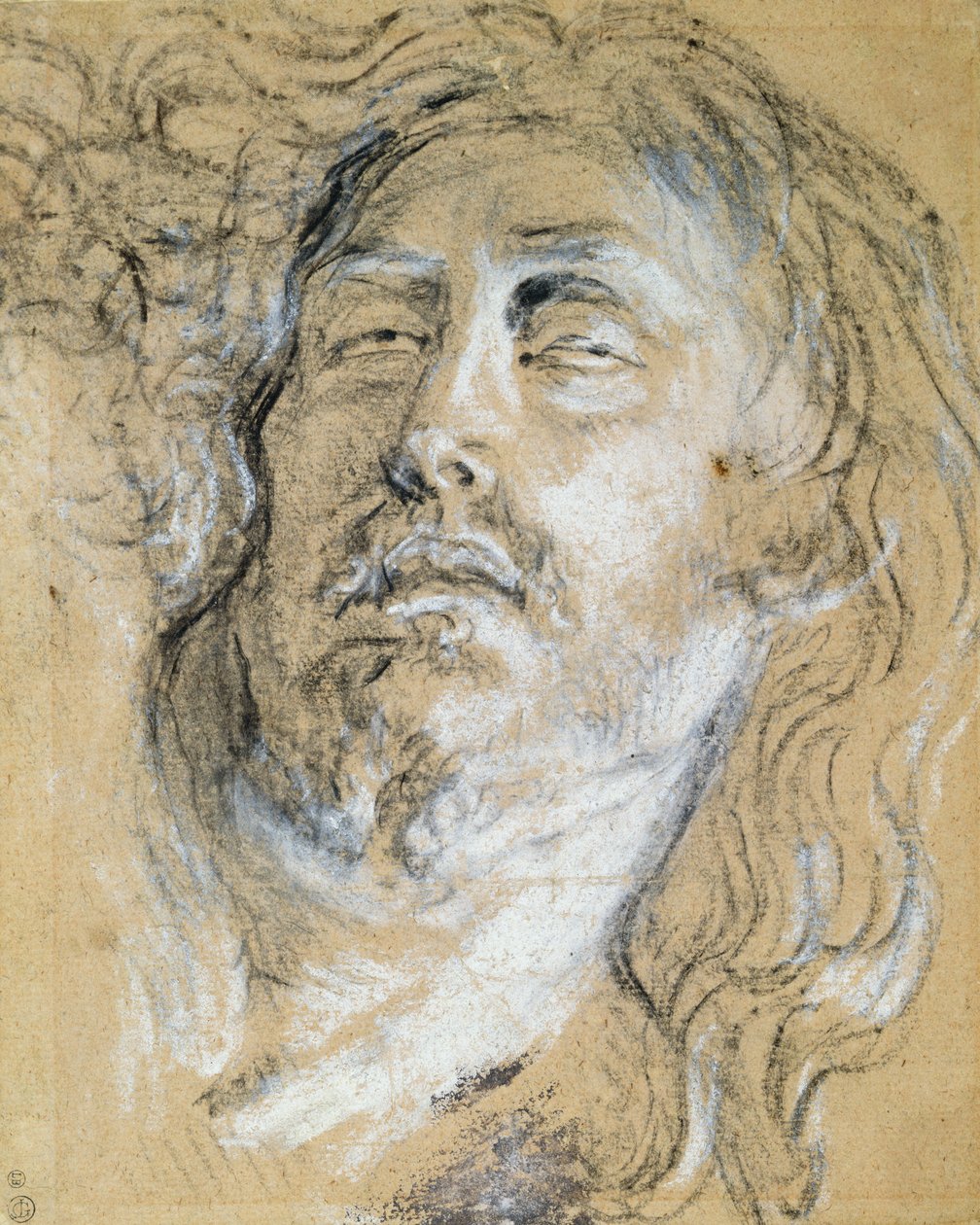 Head of the Dead Christ (kull og kritt på papir) av Anthony van Dyck