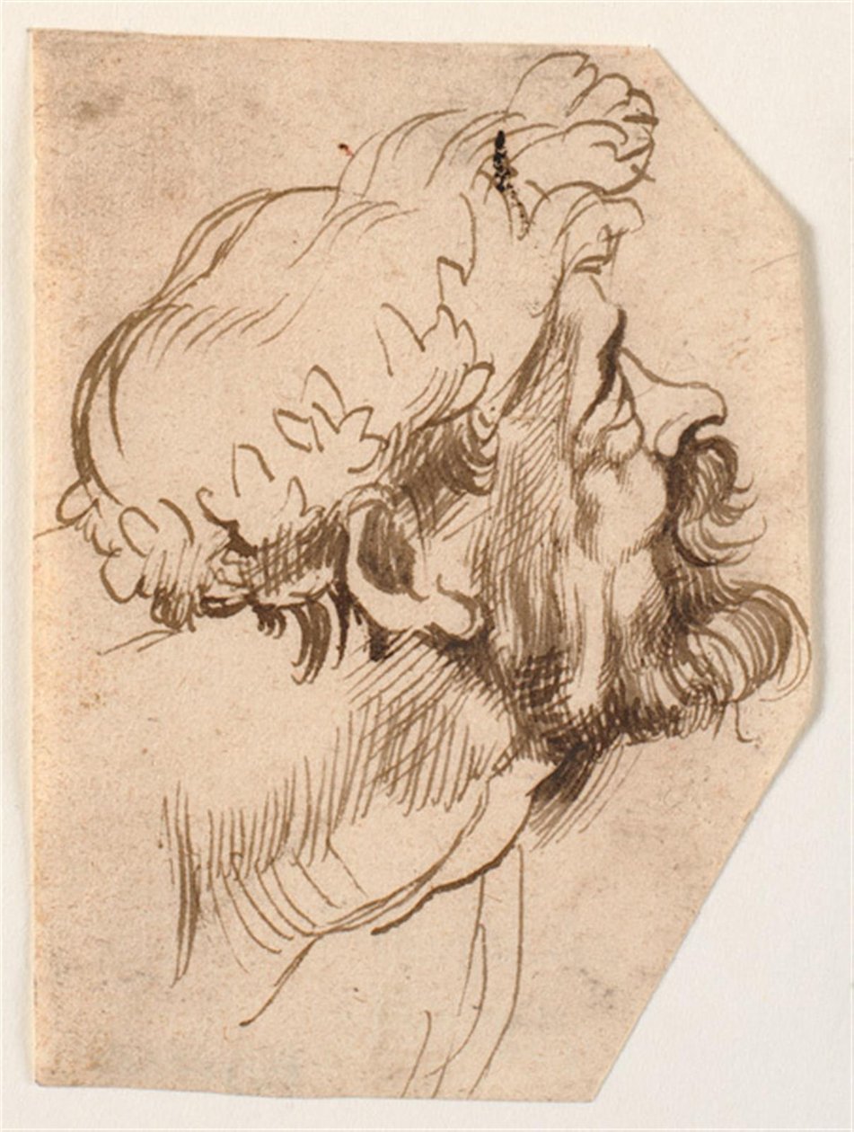 Hodet til en mann av Anthony van Dyck