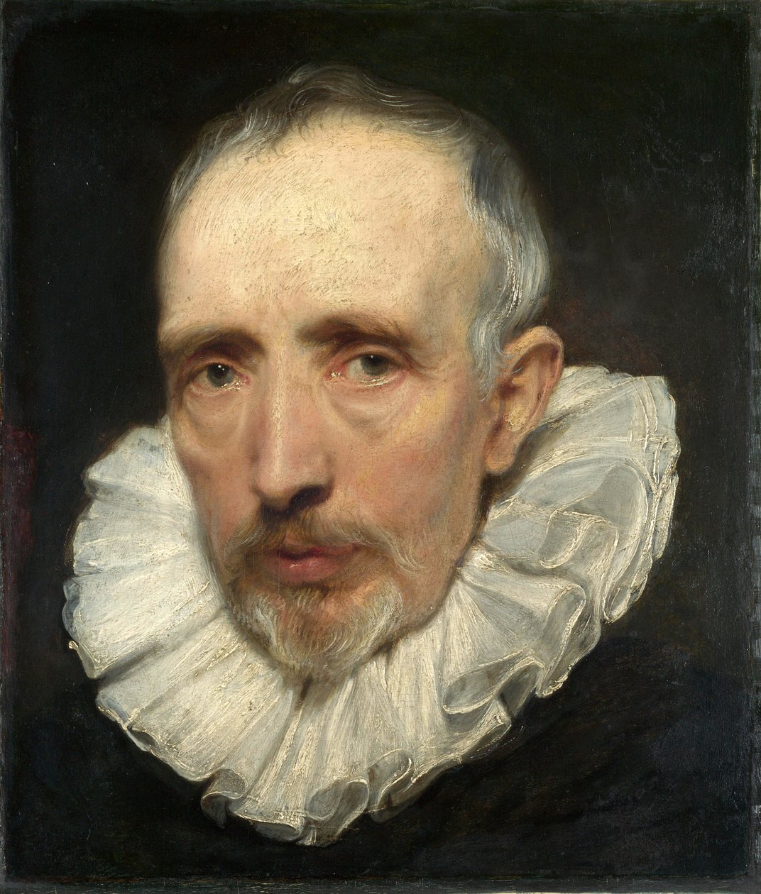  av Anthony van Dyck