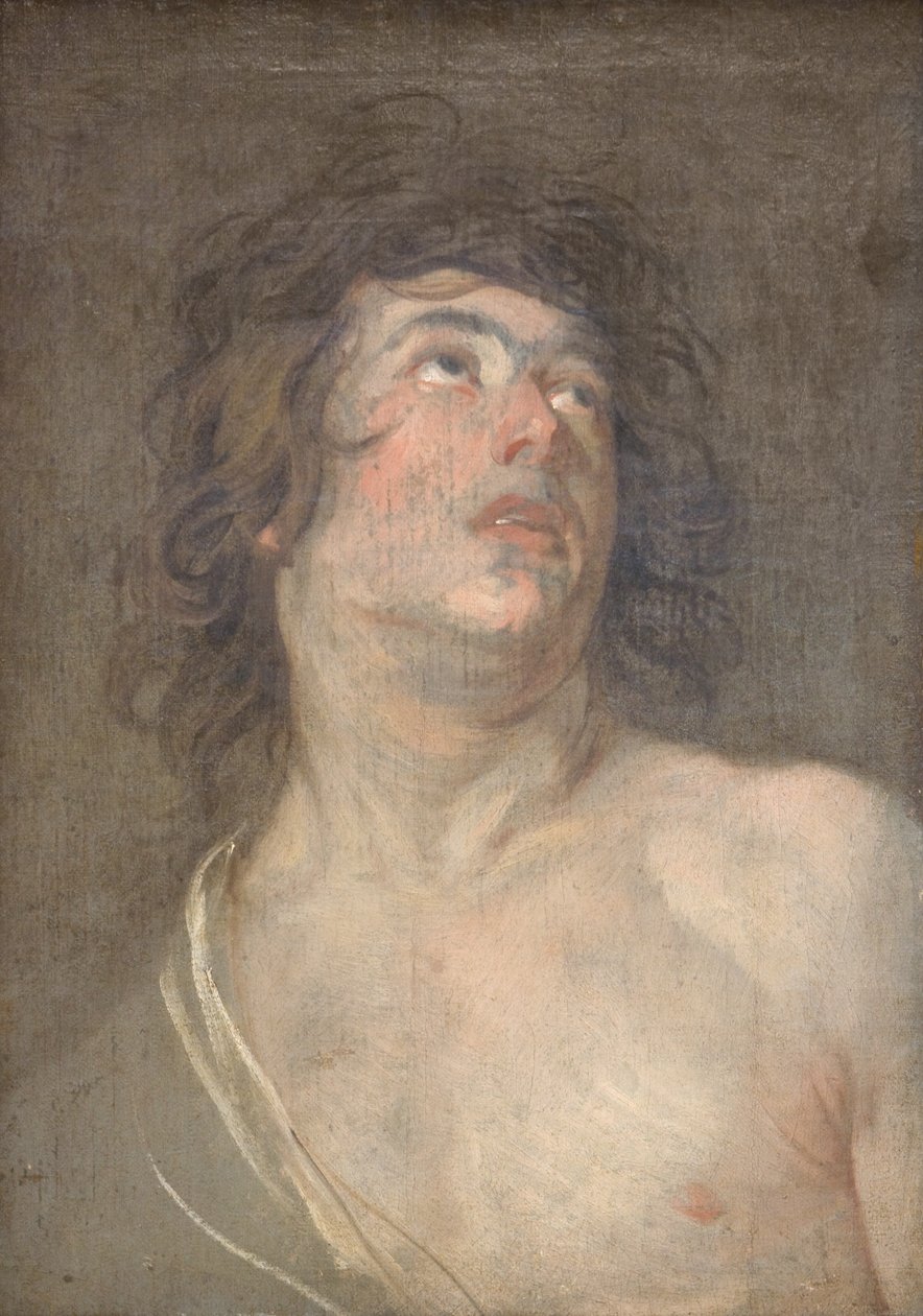Studieleder til en ung mann som ser oppover. St Sebastian av Anthony van Dyck