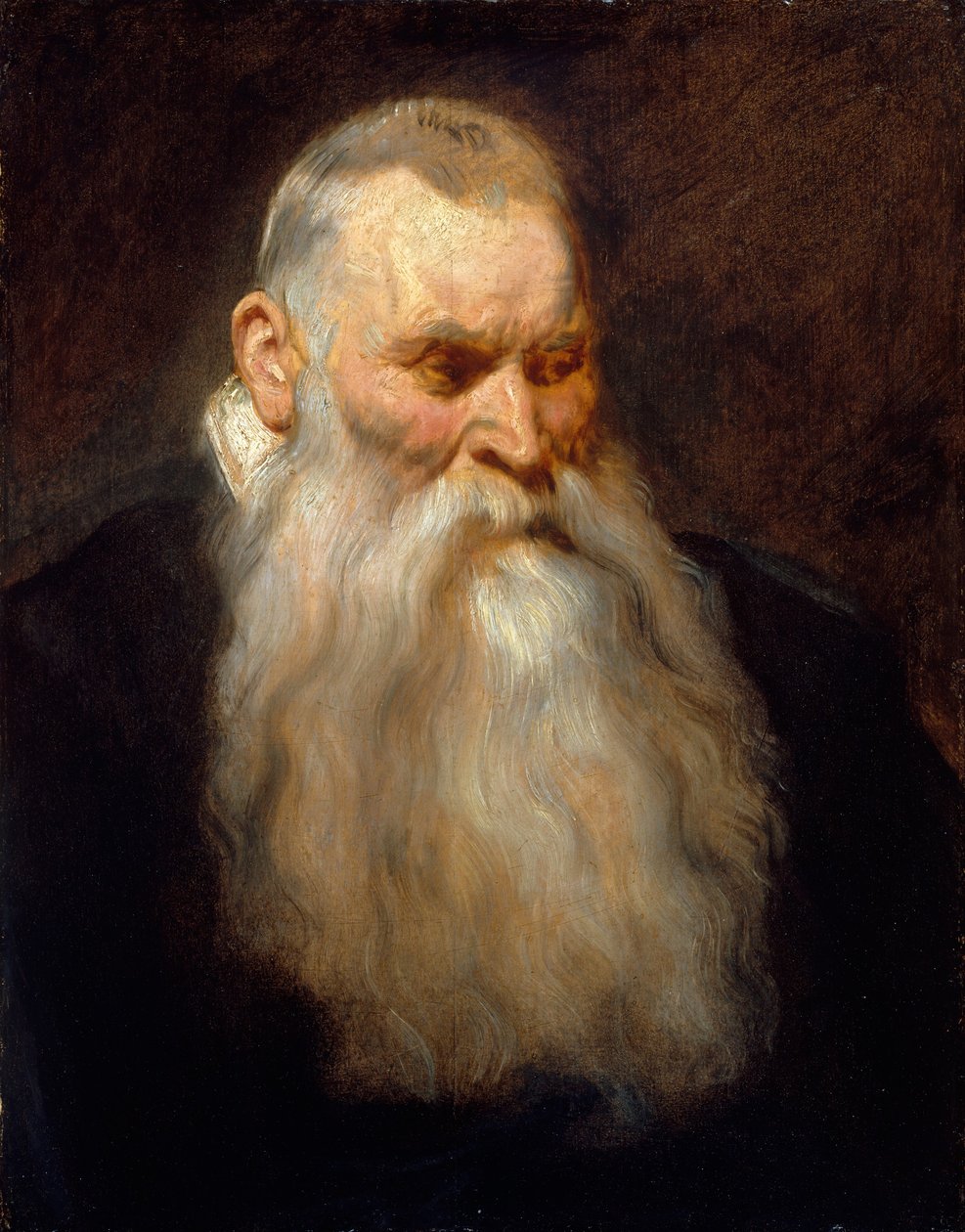 Studiehode til en gammel mann med hvitt skjegg, ca. 1617-20. av Anthony van Dyck