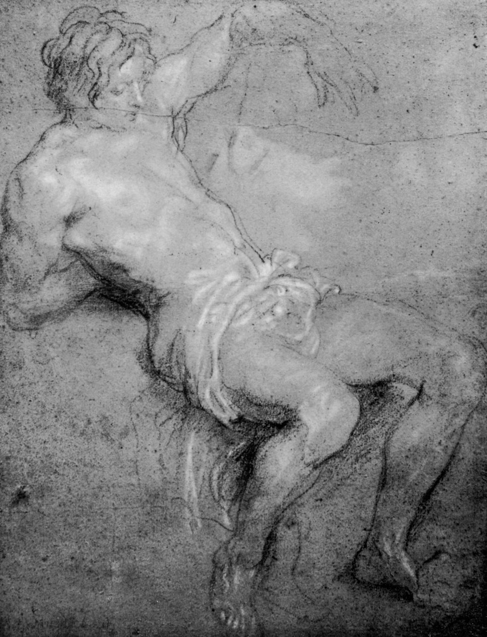Studie for St Sebastian, 1913. av Anthony van Dyck