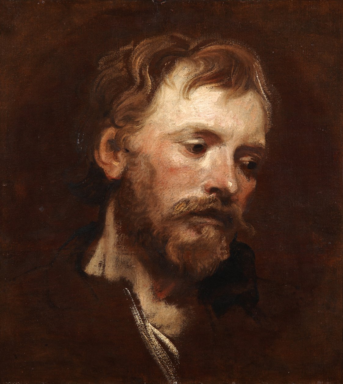 Studie av en ung skjeggete mann av Anthony van Dyck
