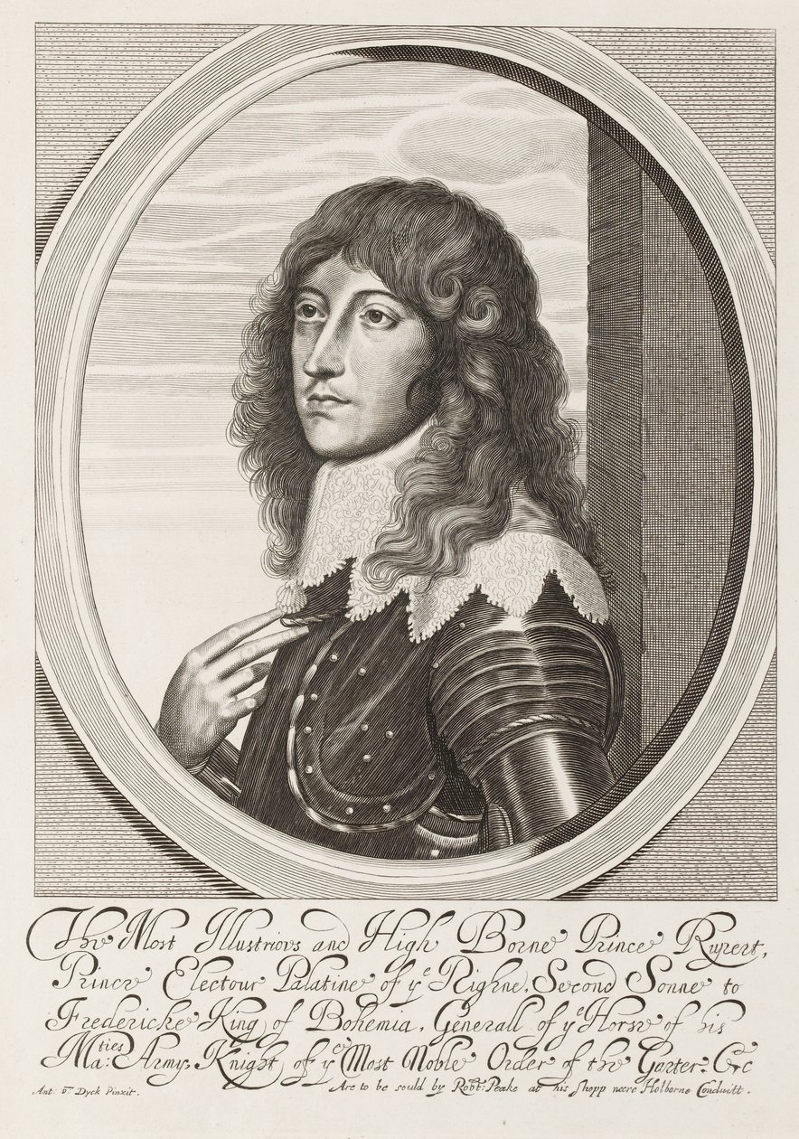 ?Den mest illustrerte og høybårne prins Rupert?, 1640 ca av Anthony van Dyck
