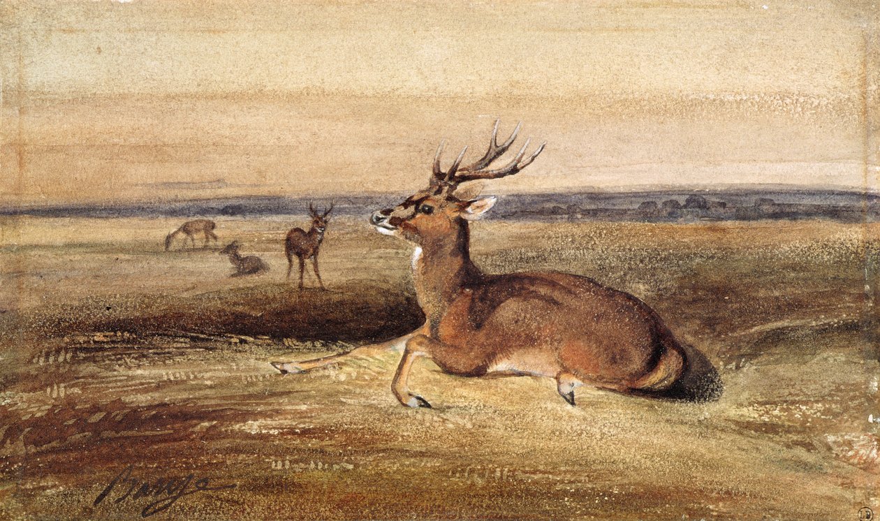 Hvilende hjort av Antoine Louis Barye