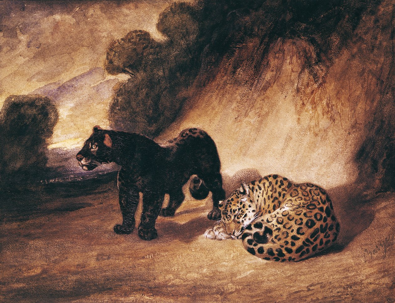 To Jaguarer fra Peru av Antoine Louis Barye
