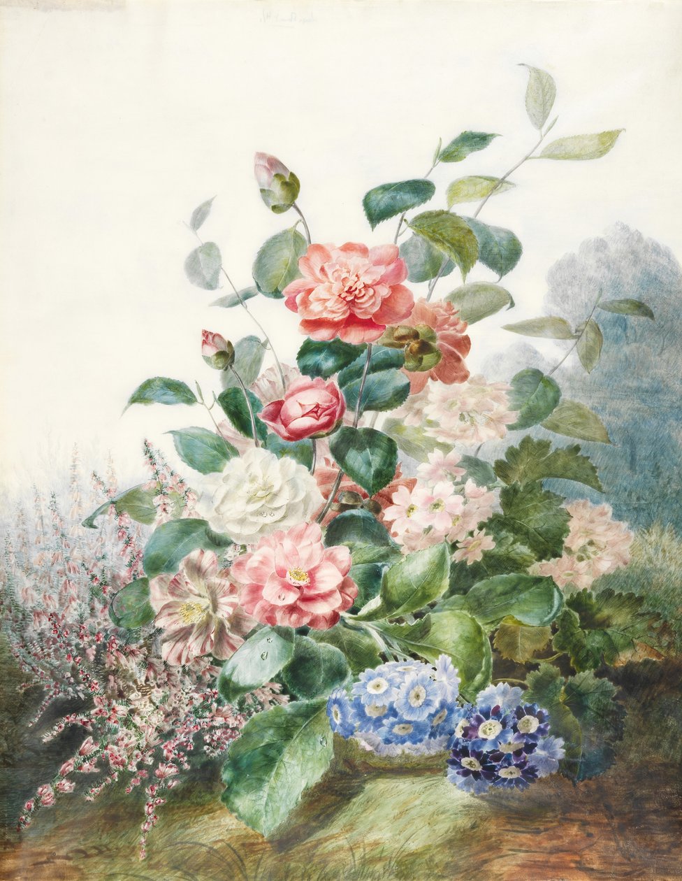 Ulike blomster som vokser i liggende omgivelser (wc på vellum) av Antoine Pascal