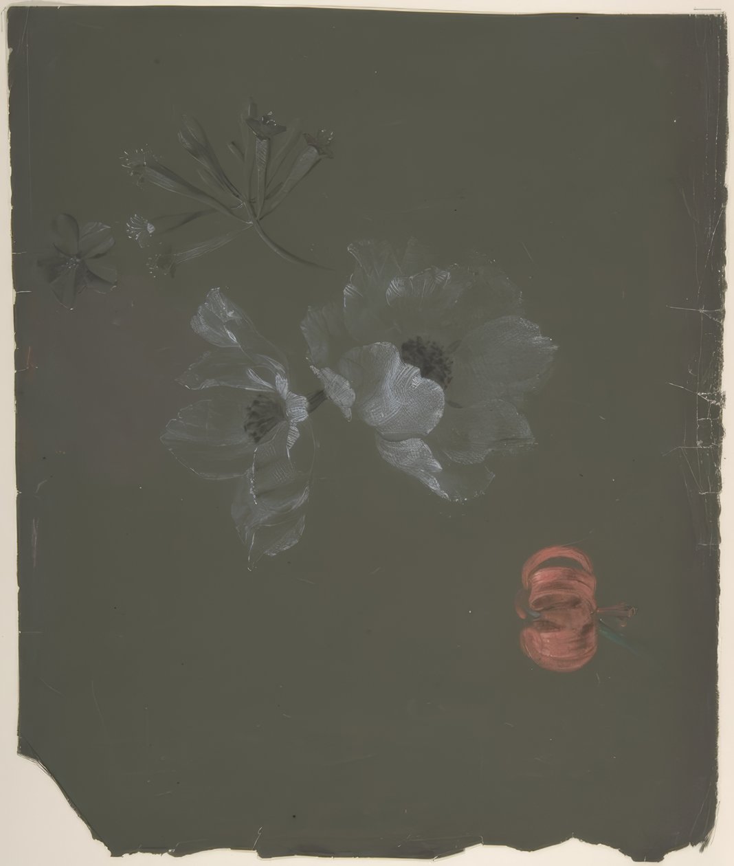 Blomsterdesign av Antoine Berjon