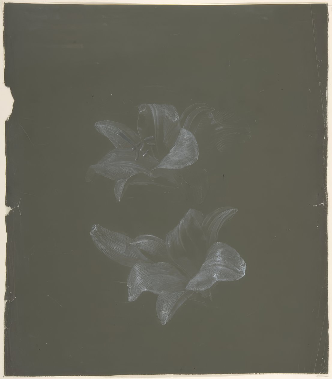 Blomsterdesign av Antoine Berjon