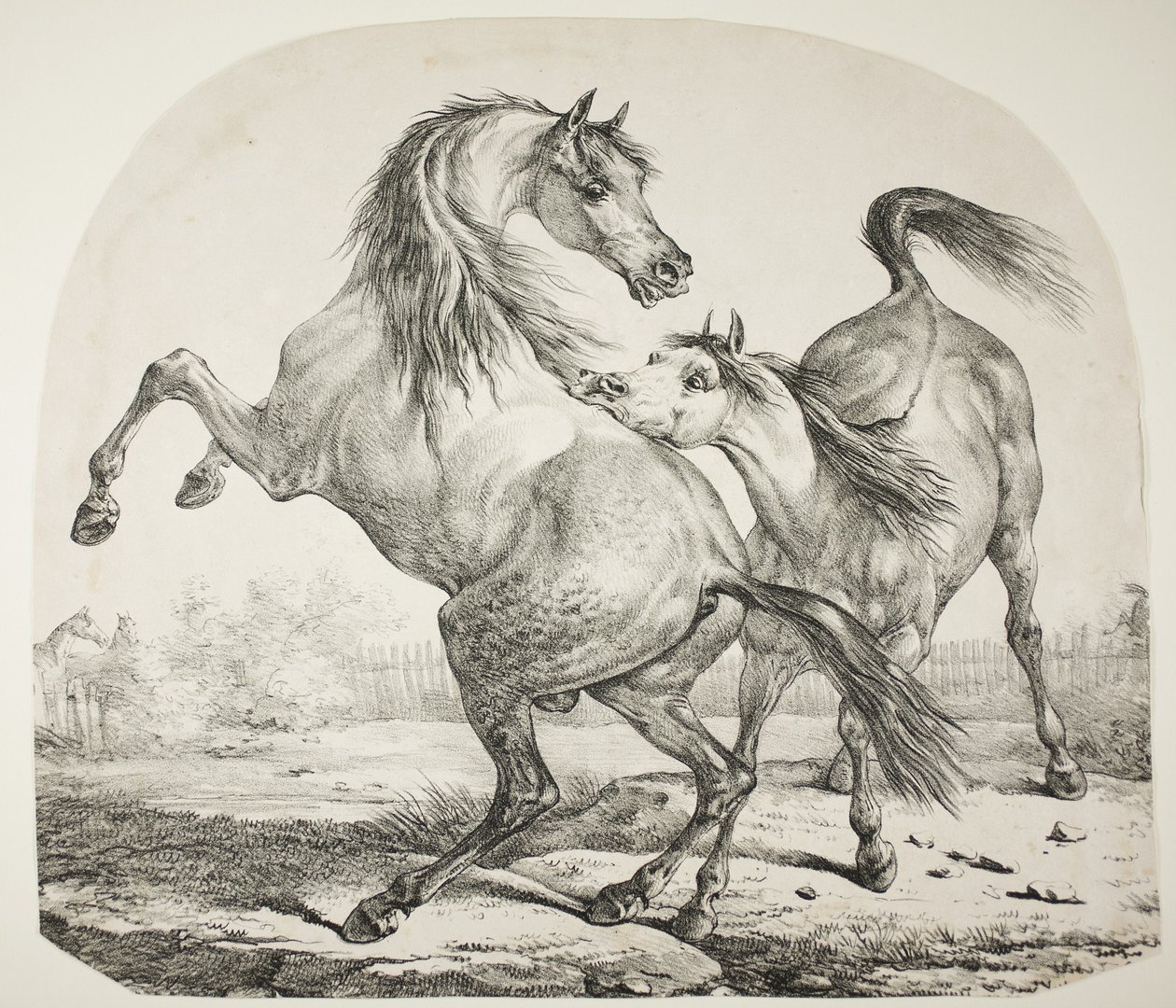 Wild Horses Fighting, ca. 1820 av Antoine Charles Horace Vernet
