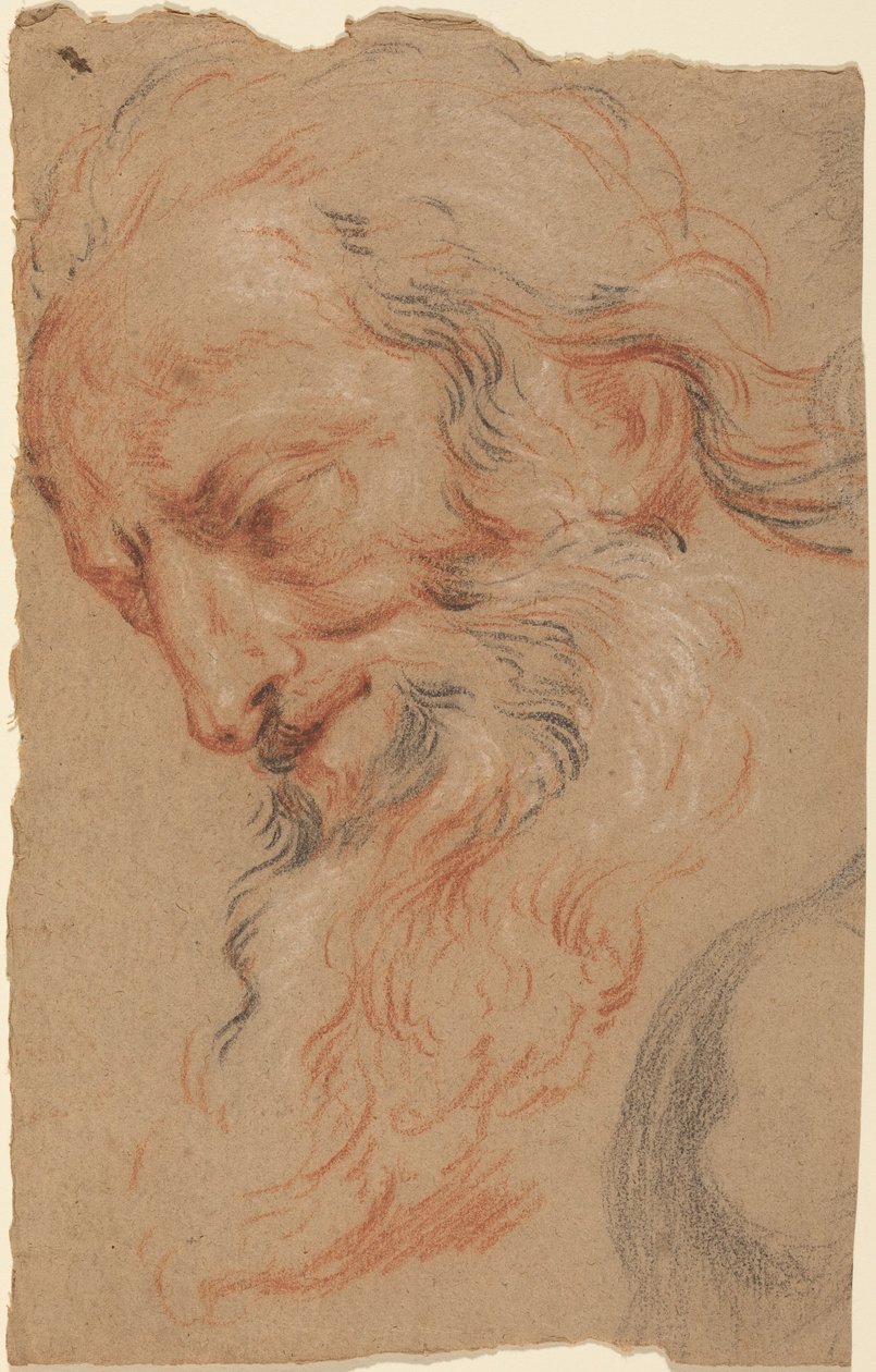 Hodestudie av en gammel mann av Antoine Coypel