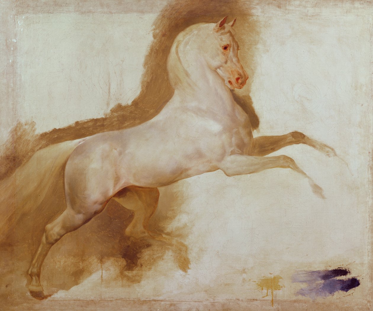 Hest til Joachim Murat, ca. 1832 av Antoine Jean Gros