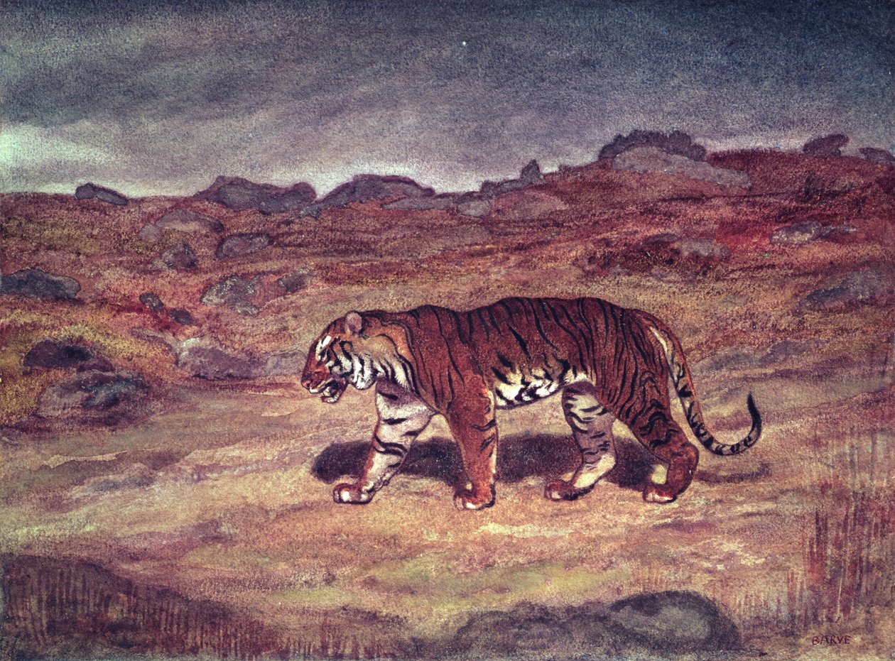 En tiger som jakter på byttet sitt (wc på papir) av Antoine Louis Barye