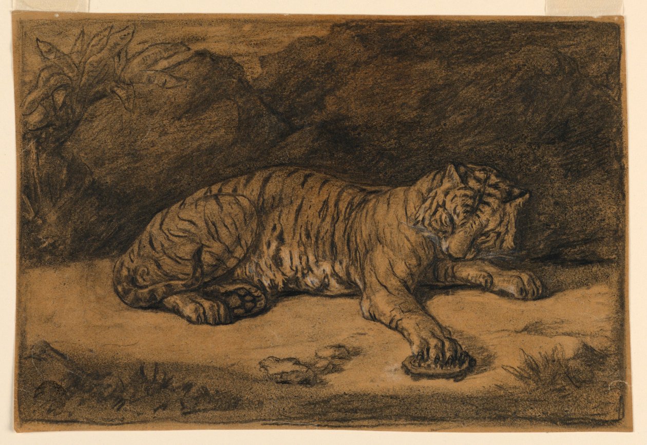 En tiger og en skilpadde av Antoine Louis Barye