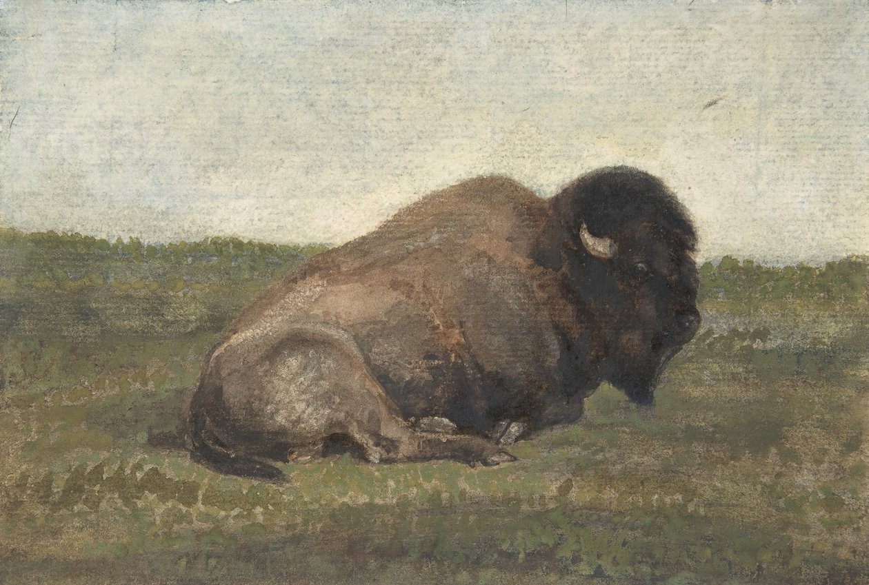 Bison liggende, 1810-75. av Antoine Louis Barye