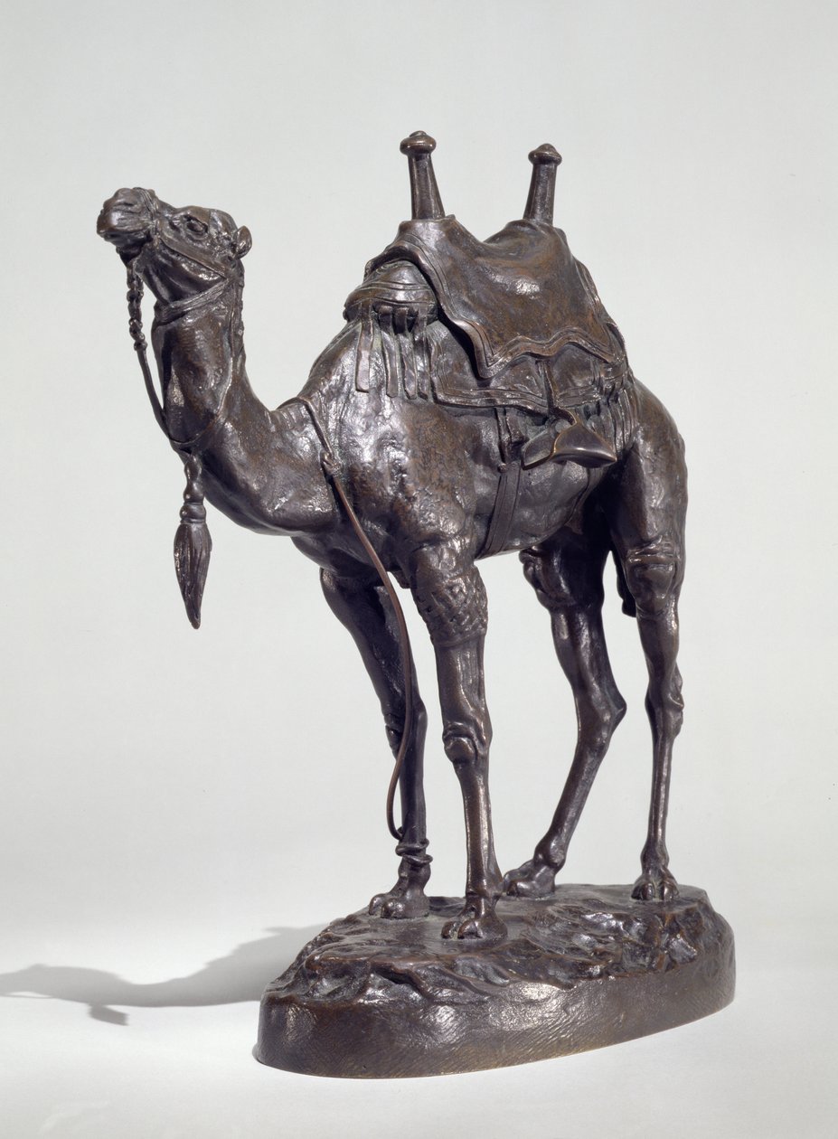 Egyptisk dromedar med sele (bronse) av Antoine Louis Barye