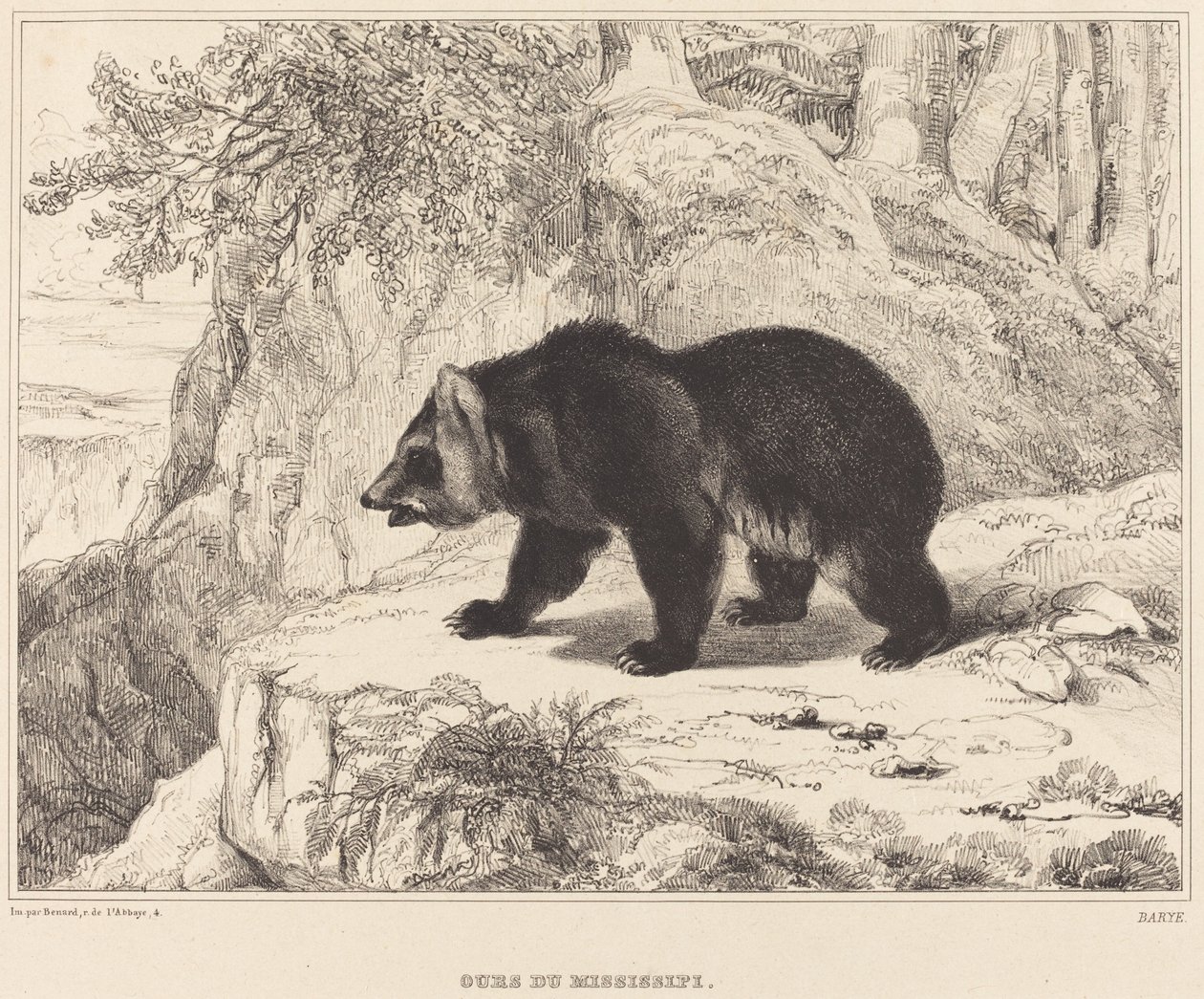 Mississippi bjørn av Antoine Louis Barye