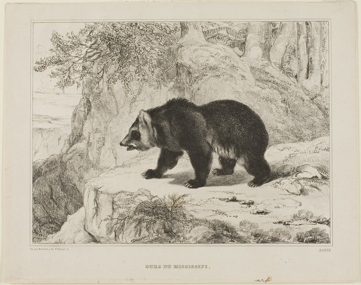 Mississippi bjørn av Antoine Louis Barye