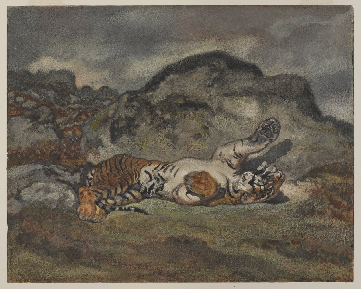 Rolling Tiger, ca. 1840 (wc på papir) av Antoine Louis Barye