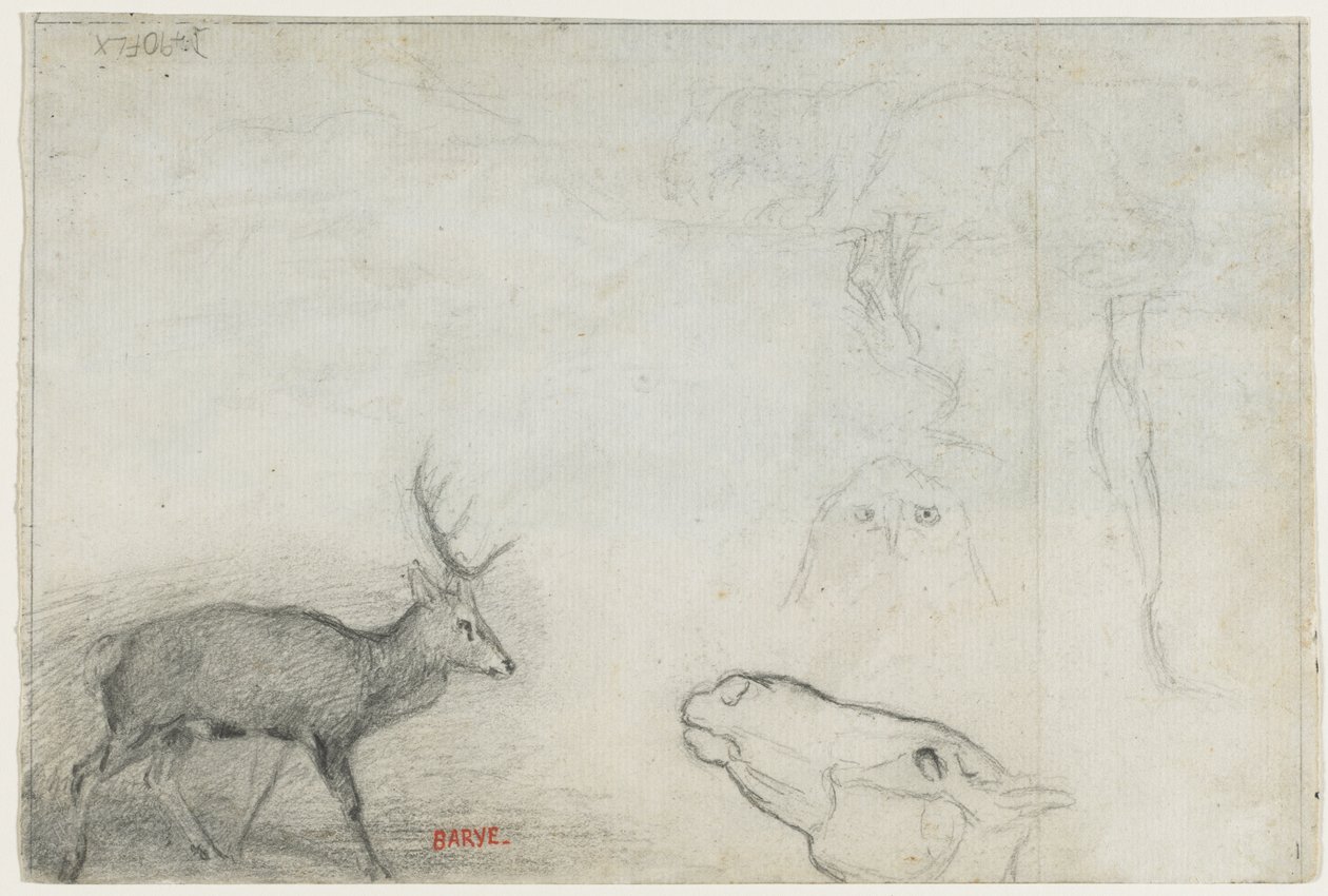Studier av dyr verso. av Antoine Louis Barye