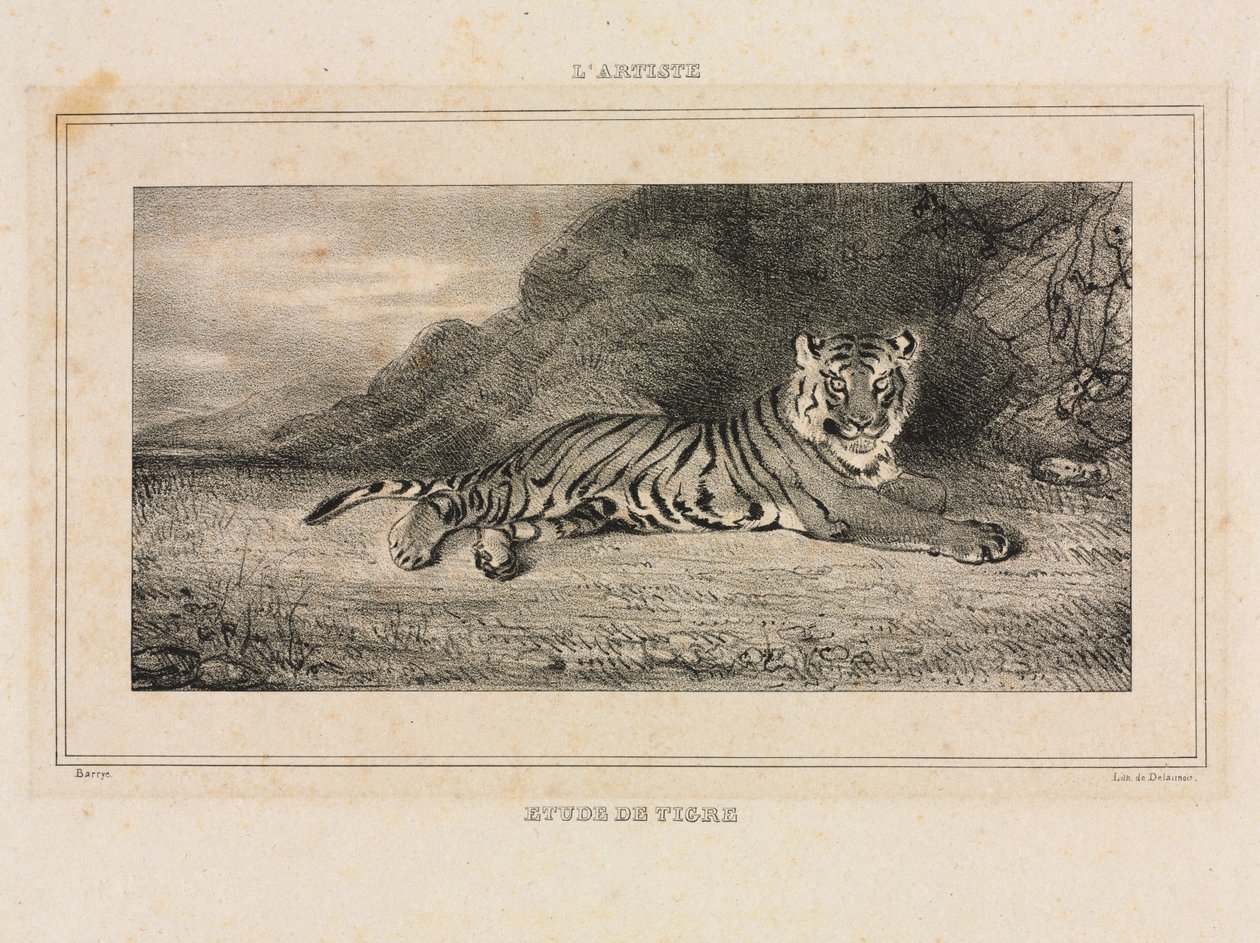 Studie av en tiger av Antoine Louis Barye
