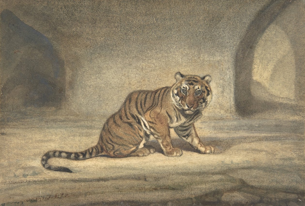 Tiger, 1810-75. av Antoine Louis Barye
