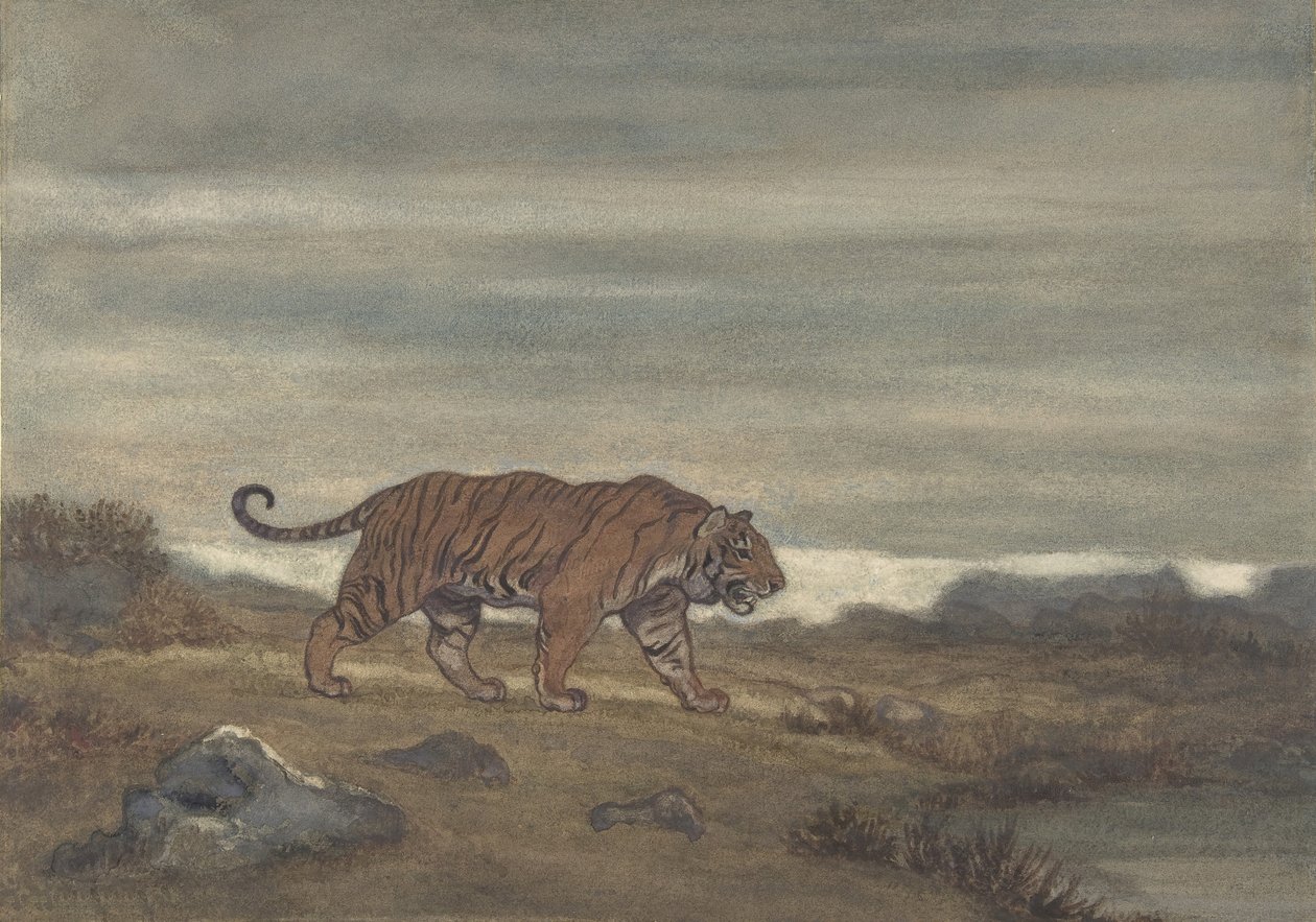 Tigeren nærmer seg bassenget, 1810-75. av Antoine Louis Barye