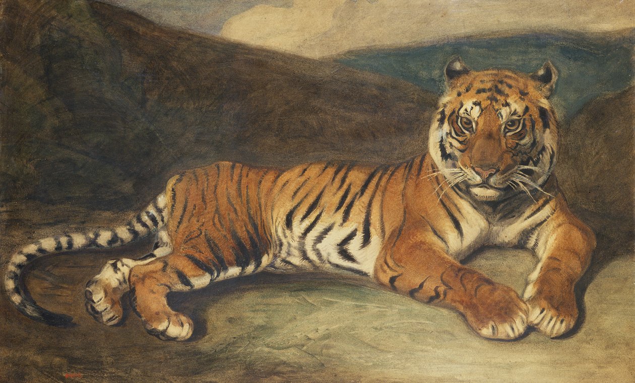 Tiger Reclining (wc på papir) av Antoine Louis Barye