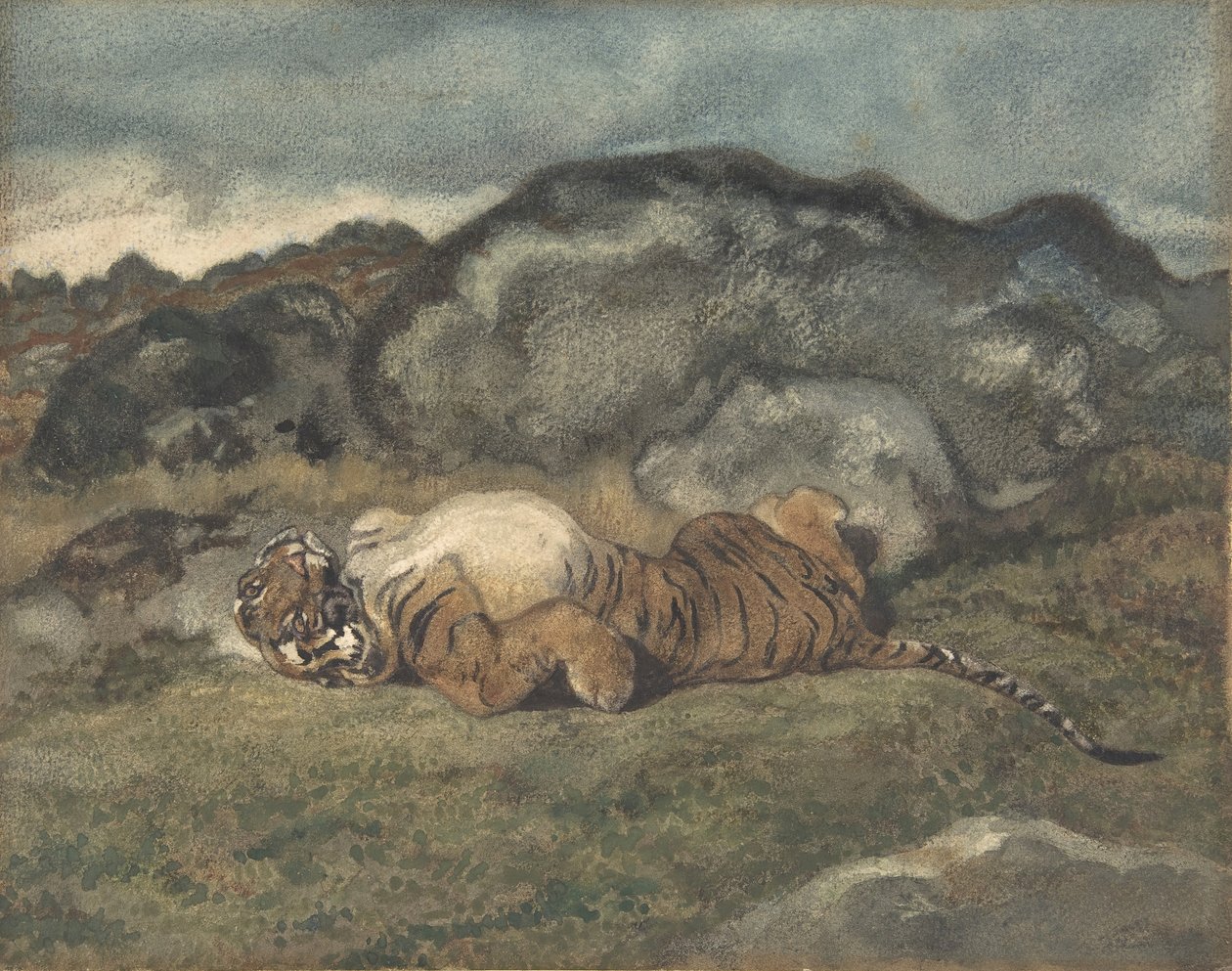 Tiger ruller på ryggen, 1810-75. av Antoine Louis Barye