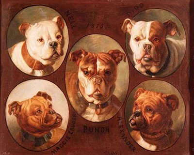 Nell, Dido, Punch, Maggie lauder og Alexander, engelske bulldogger av Antoine or Tony Dury