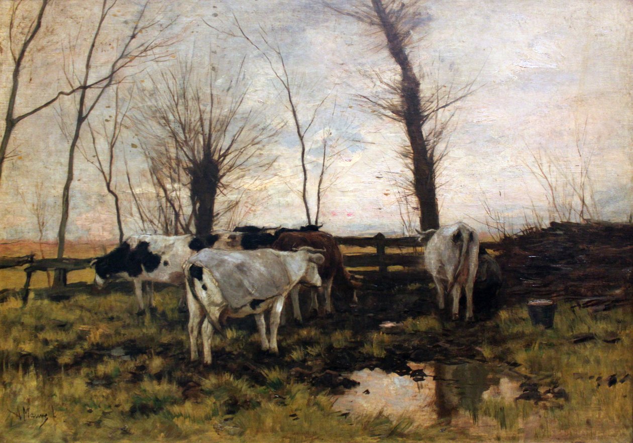 Kyr på beite av Anton Mauve