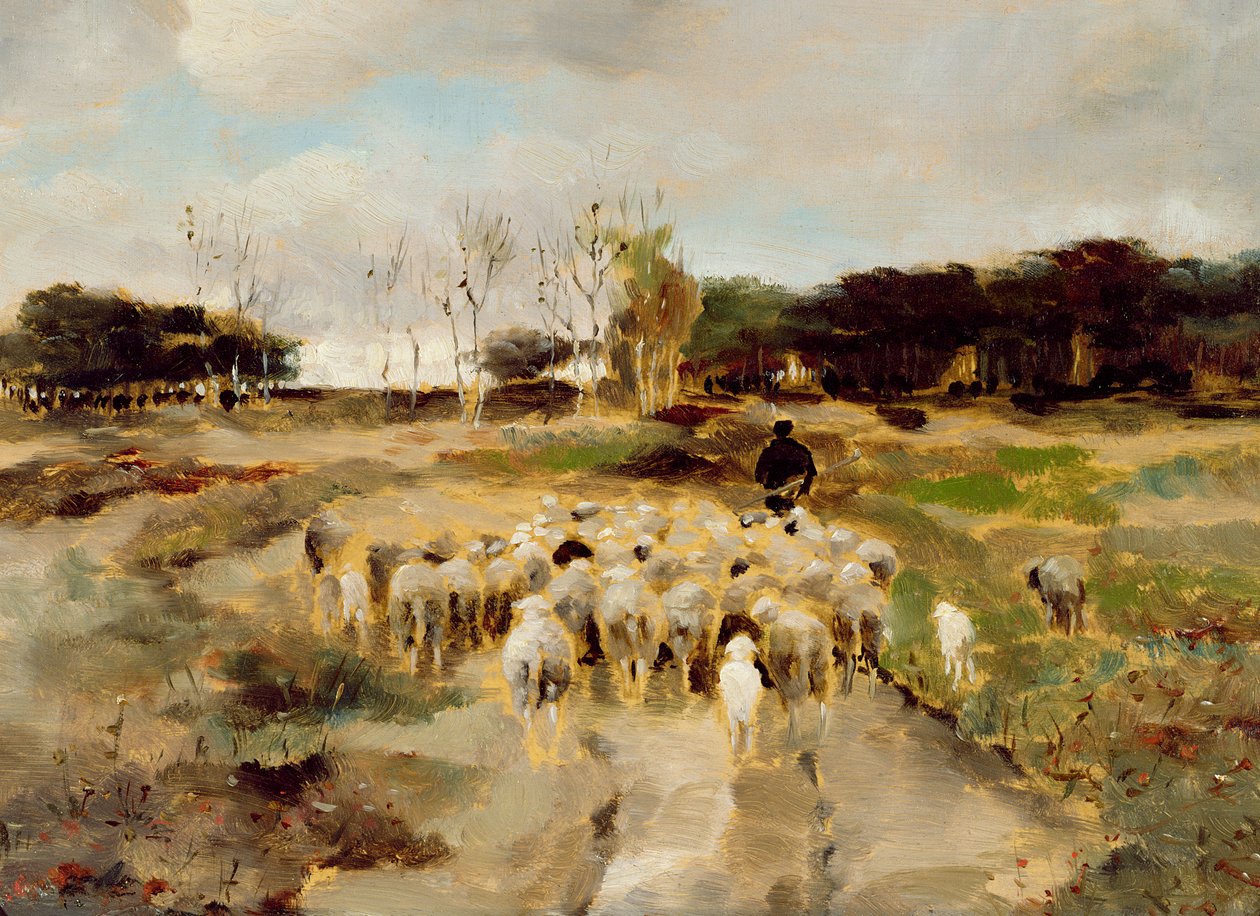 Saueflokk (olje på papir) av Anton Mauve