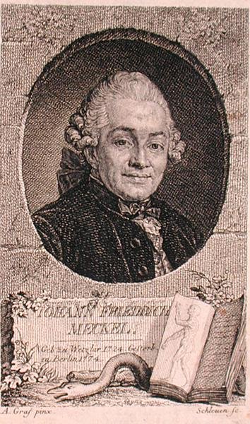 Portrett av Johann Friedrich Meckel (1724-76) gravert av John Schleuen (fl.1740-74) (gravering) av Anton (after) Graff