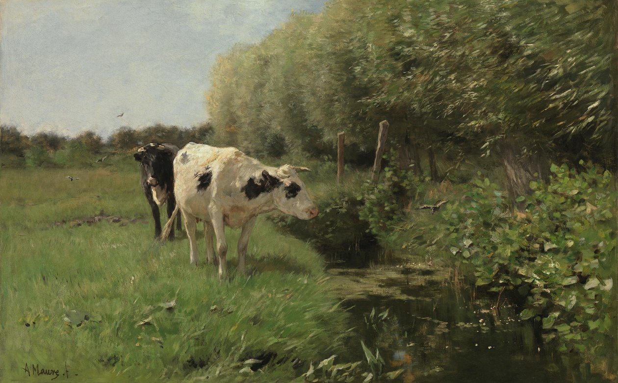 Kyr på beite av Anton Mauve