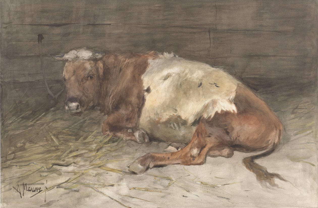 Løgnende ungokse av Anton Mauve