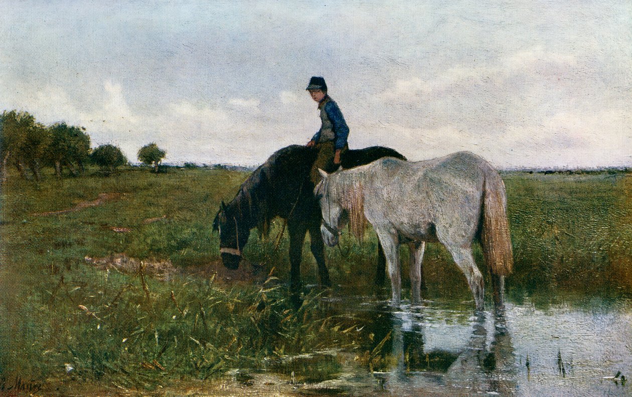 Vanningshester, 1871, 1912. av Anton Mauve