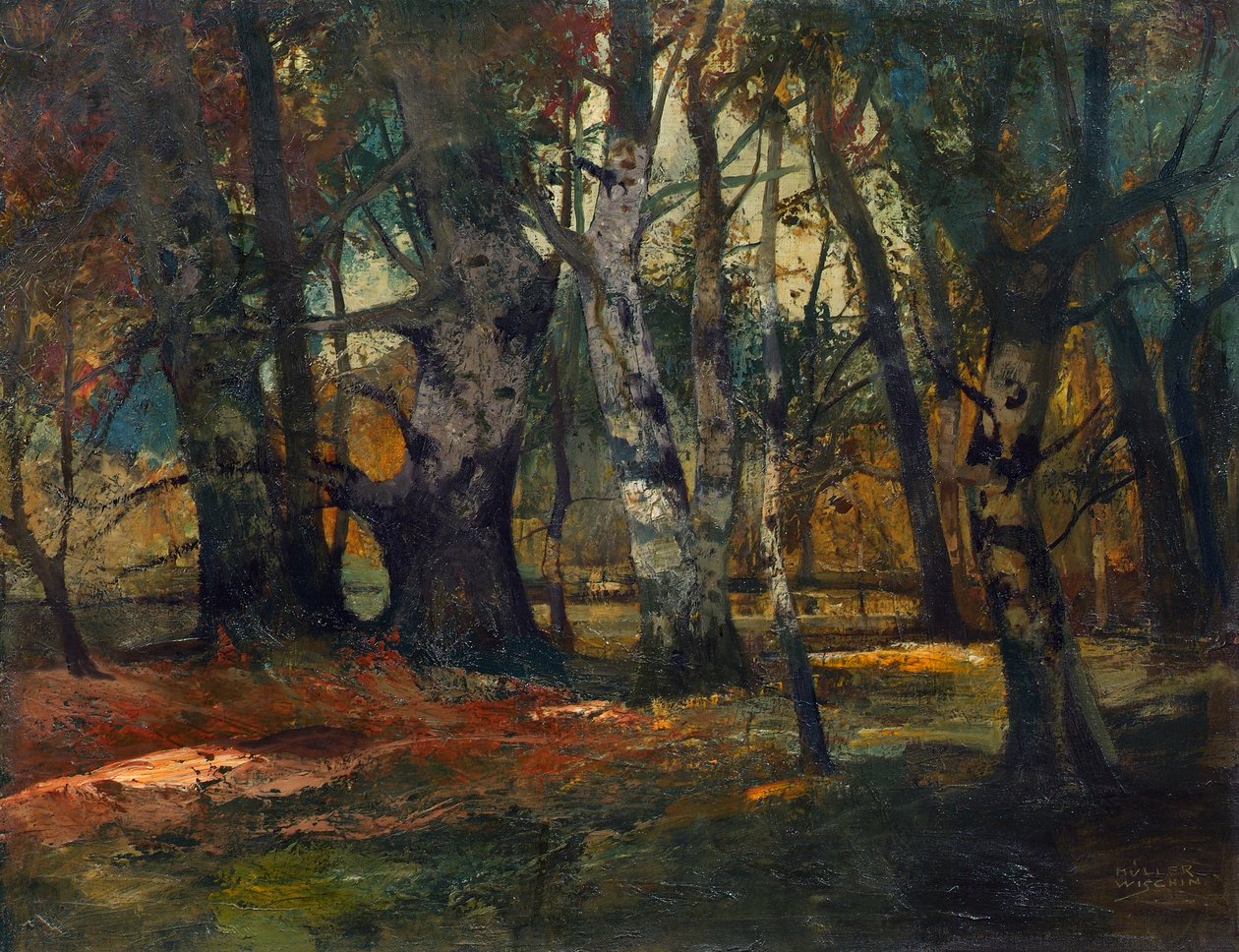 høstskog av Anton Müller Wischin