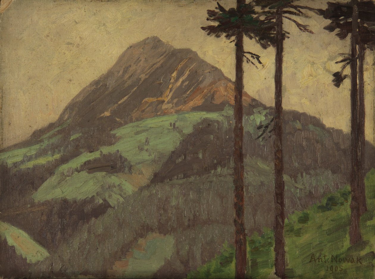  av Anton Nowak
