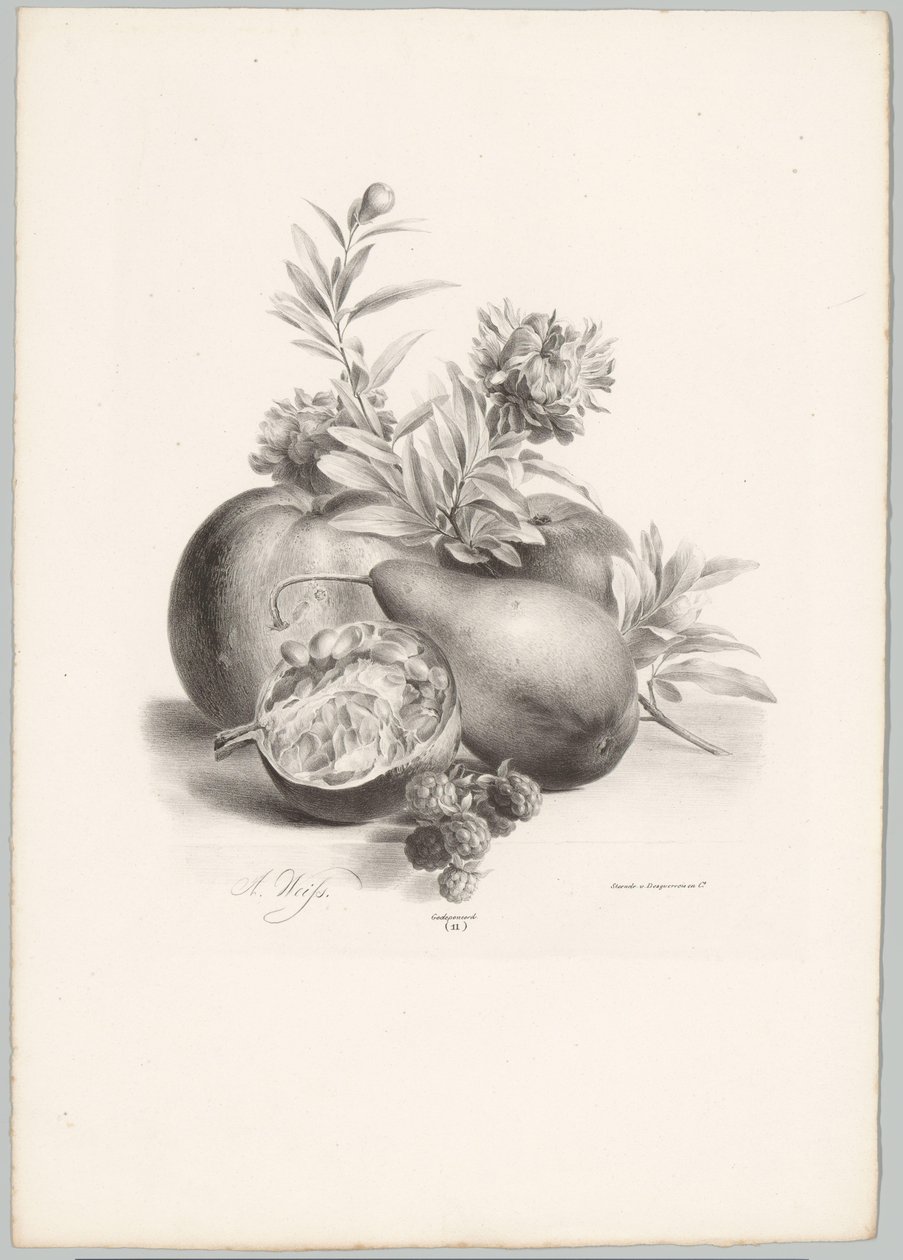Blomster, epler, pære, granateple og bjørnebær Flower and Fruit Studies (...) 10. episode (serietittel) av Anton Weiss
