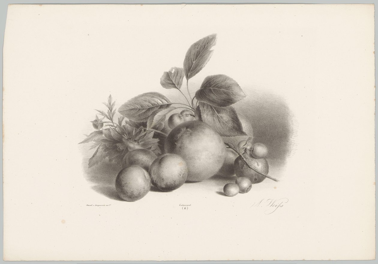 Blomster, nektariner og hasselnøtter Flower and Fruit Studies (...) 10. episode (serietittel) av Anton Weiss