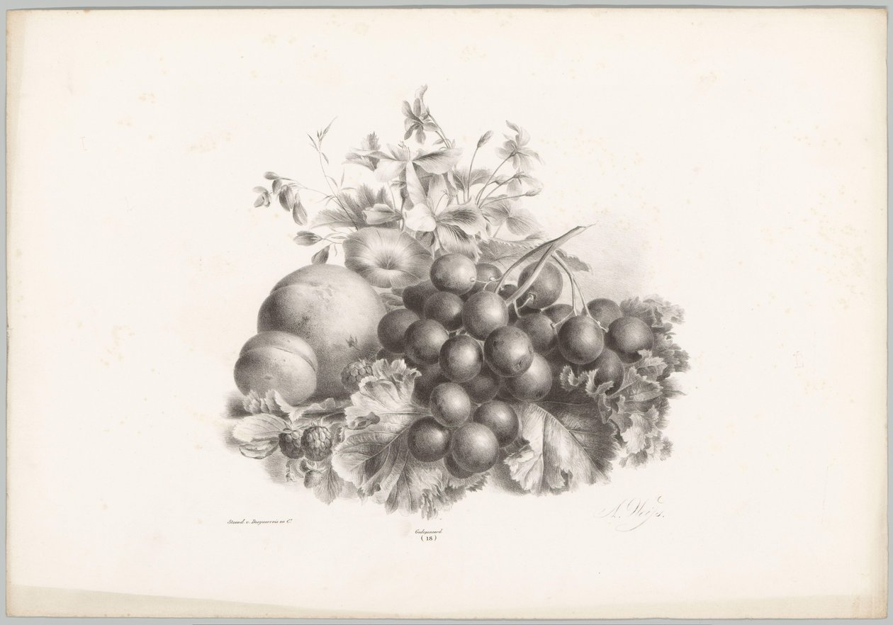 Blomster, fersken, nektarin, druer og bjørnebær Flower and Fruit Studies (...) 10. episode (serietittel) av Anton Weiss