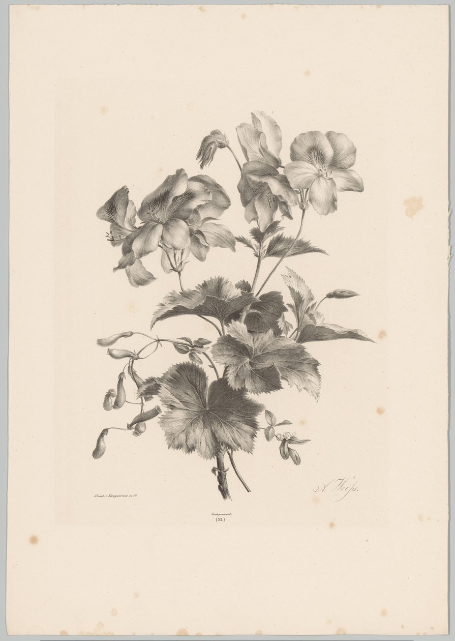 Diverse bloemen Bloem en Fruit Studien (...) 10e aflevering (series title)   1373560   no       norwegian Successfully Translated  Original: Jito Tenno (Workers Dyeing Cloth), from Hyakunin Isshu ubaga Etoki (The Hundred Poems Explained by the Nurse) Trans av Anton Weiss